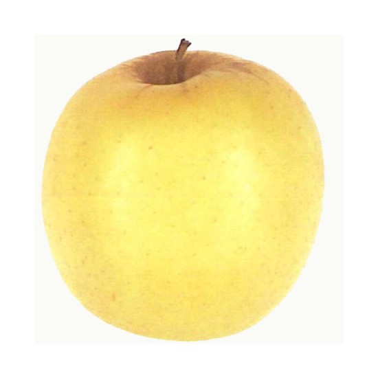 Jabolka Zlati delišes EKO...